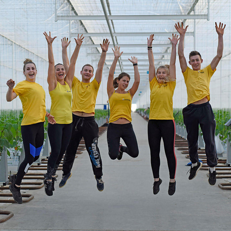 6 employees jumping for joy in yellow tshirts at Tangmere Airfield Nurseries.
